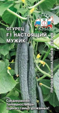 Огурец Настоящий мужик СеДек цв - КОЛОРЛОН ВТД Новосибирск