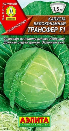Капуста Трансфер F1 0.1г, скороспелый (Аэлита) цв - КОЛОРЛОН ВТД Новосибирск