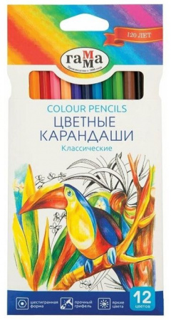 Карандаши цветные Гамма "Классические", 12цв., заточен., картон. упаковка, европодвес  050918_02 - КОЛОРЛОН ВТД Новосибирск