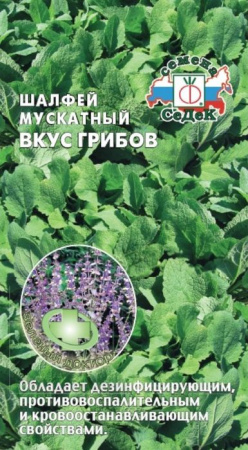 Шалфей Вкус грибов мускатный (СеДеК) цв - КОЛОРЛОН ВТД Новосибирск