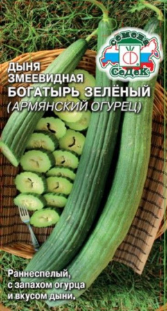 Дыня Армянский огурец Богатырь зеленый (Седек)  цв - КОЛОРЛОН ВТД Новосибирск