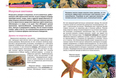 ДетскаяЭнцРосмэн Удивительные животные - КОЛОРЛОН ВТД Новосибирск