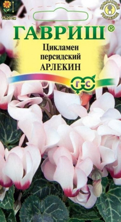 Цикламен Арлекин 3шт (Гавриш) цв - КОЛОРЛОН ВТД Новосибирск