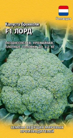 Капуста брокколи Лорд F110шт  (Гавриш) цв - КОЛОРЛОН ВТД Новосибирск