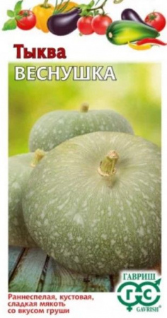 Тыква Веснушка 1г (Гавриш) цв - КОЛОРЛОН ВТД Новосибирск