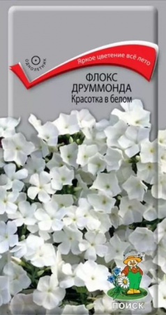 Флокс Красотка в белом друммонда 0,1гр (Поиск) цв - КОЛОРЛОН ВТД Новосибирск