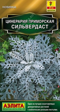 Цинерария Сильвердаст 0. 05г (Аэлита) - КОЛОРЛОН ВТД Новосибирск