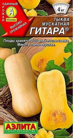 Тыква Гитара (Аэлита) цв - КОЛОРЛОН ВТД Новосибирск