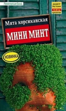 Мята Мини Минт 3шт, декоративная (Аэлита) - КОЛОРЛОН ВТД Новосибирск