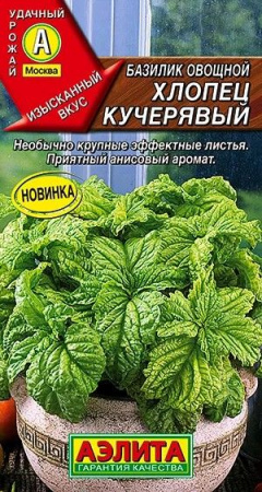 Базилик Хлопец кучерявый 0.3г (Аэлита) цв - КОЛОРЛОН ВТД Новосибирск