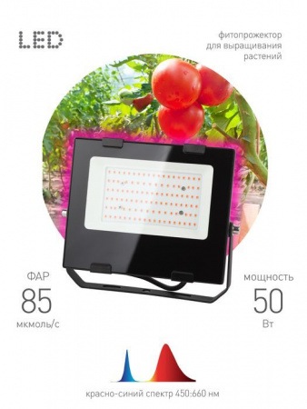 FITO-50W-RB-LED ЭРА Прожектор красно-синего спектра - КОЛОРЛОН ВТД Новосибирск