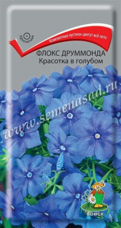 Флокс Красотка в голубом 0,1гр. ( Поиск) - КОЛОРЛОН ВТД Новосибирск