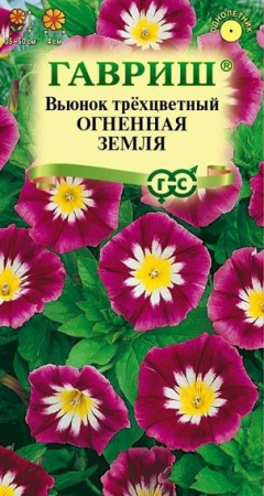 Вьюнок Огненная земля 0. 5гр (Гавриш) цв - КОЛОРЛОН ВТД Новосибирск