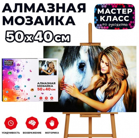 MKA5040-61 Мозаика алмазная "Девушка с лошадью" 40*50см. - КОЛОРЛОН ВТД Новосибирск