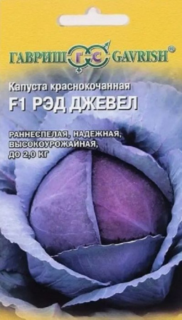 Капуста к/кочанная Ред Джевел F1 15шт (Гавриш) цв - КОЛОРЛОН ВТД Новосибирск