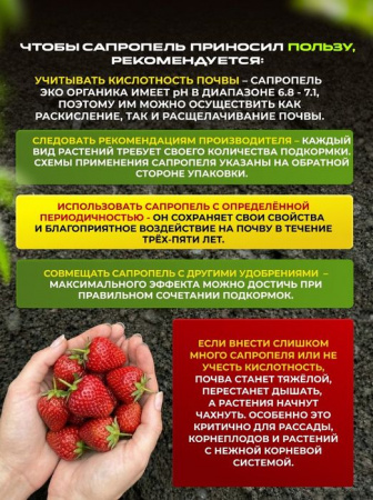 Органическое удобрение "Сапропель" 2л - КОЛОРЛОН ВТД Новосибирск