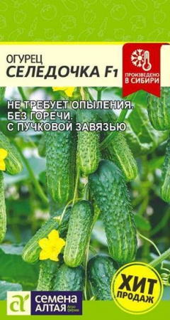 Огурец Селедочка F1/Сем Алт/цп 5 шт. НОВИНКА! - КОЛОРЛОН ВТД Новосибирск