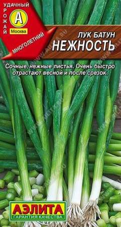 Лук батун Нежность 0.2г (Аэлита) чб - КОЛОРЛОН ВТД Новосибирск