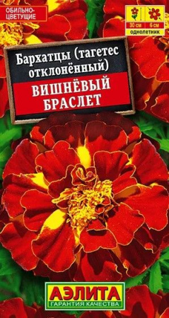 Бархатцы Вишневый браслет откл. (Аэлита) цв - КОЛОРЛОН ВТД Новосибирск