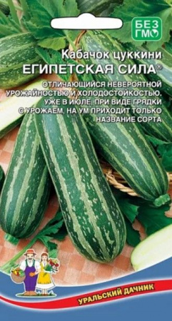 Кабачок Египетская сила 10шт (УД) - КОЛОРЛОН ВТД Новосибирск