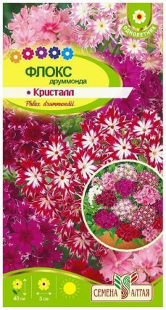 Цветы Флокс Кристалл Друммонда/Сем Алт/цп 0,2 гр. - КОЛОРЛОН ВТД Новосибирск