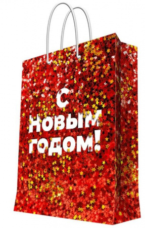Бумажный пакет 17,8x22,9x9,8см арт.93025FE - КОЛОРЛОН ВТД Новосибирск