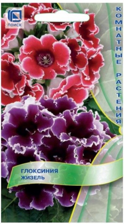 Глоксиния Жизель 5шт, смесь окрасок (Поиск) - КОЛОРЛОН ВТД Новосибирск