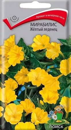 Мирабилис Желтый леденец 1гр (Поиск) цв - КОЛОРЛОН ВТД Новосибирск