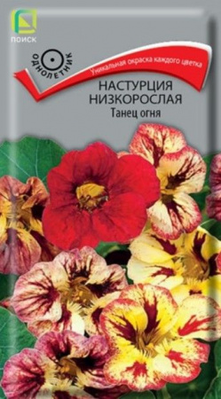 Настурция Танец огня 1г, низкорослая (Поиск) - КОЛОРЛОН ВТД Новосибирск
