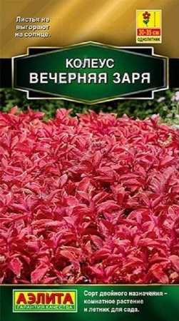 Колеус Вечерняя Заря 5шт (Аэлита) - КОЛОРЛОН ВТД Новосибирск