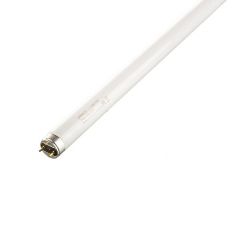 Osram 18 вт L 18/640 G13 ярко-белая Лампа - КОЛОРЛОН ВТД Новосибирск
