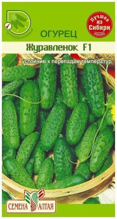 Астра Миледи Красная/Сем Алт/цп 0,2 гр. - КОЛОРЛОН ВТД Новосибирск
