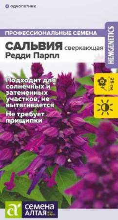 Сальвия Редди Парпл сверкающая/Сем Алт/цп 5 шт. (2029 / 1348) - КОЛОРЛОН ВТД Новосибирск