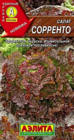 Салат Сорренто 0.5г (Аэлита) - КОЛОРЛОН ВТД Новосибирск