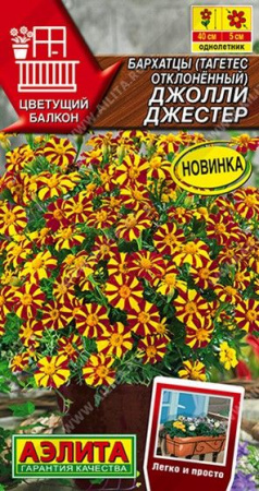 Бархатцы Джолли Джестер 0. 1г (Аэлита) - КОЛОРЛОН ВТД Новосибирск