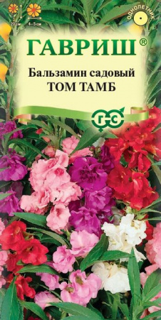 Бальзамин Том Тамб карлик. 0.2гр (Гавриш) цв - КОЛОРЛОН ВТД Новосибирск