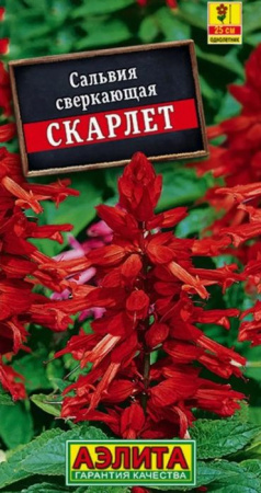 Сальвия Скарлетлая сверкающая (Аэлита) цв - КОЛОРЛОН ВТД Новосибирск