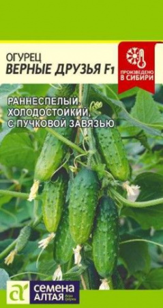 Огурец Верные друзья F1/Сем Алт/цп 5 шт. (2029 / 4953) - КОЛОРЛОН ВТД Новосибирск