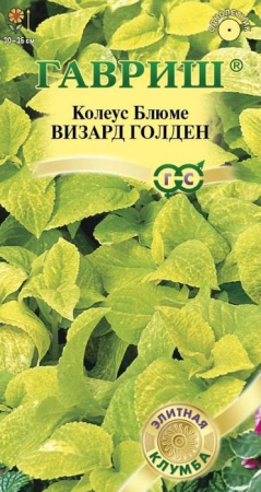 Колеус Визард Голден 5шт (Гавриш) - КОЛОРЛОН ВТД Новосибирск