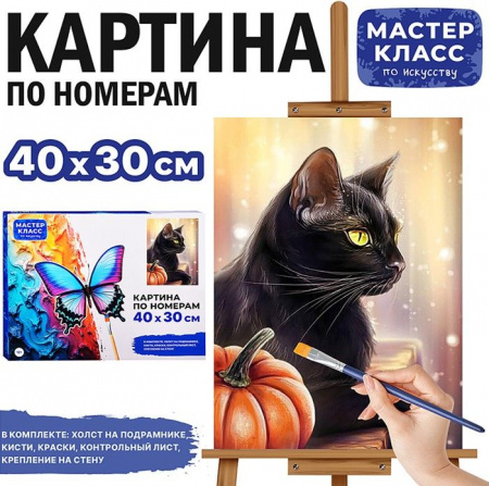 MKR4030-46 Картина по номерам "Чёрный кот" 30х40 см.Масте класс - КОЛОРЛОН ВТД Новосибирск