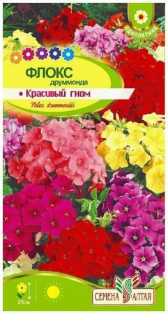 Цветы Флокс Красивый гном/Сем Алт/цп 0,2 гр. - КОЛОРЛОН ВТД Новосибирск