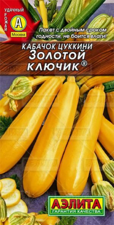Кабачок Золотой ключик (Аэлита) цв - КОЛОРЛОН ВТД Новосибирск