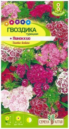 Цветы Гвоздика турецкая Пиноккио/Сем Алт/цп 0,2 гр. - КОЛОРЛОН ВТД Новосибирск