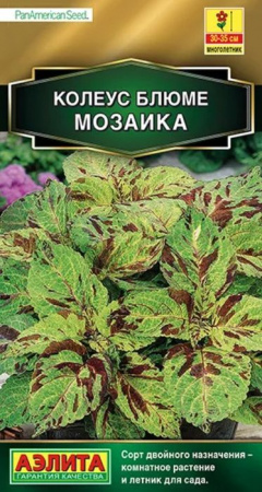 Колеус Мозаика 10шт (Аэлита) - КОЛОРЛОН ВТД Новосибирск
