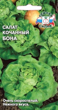 Салат Бона кочанный  (СеДеК) цв - КОЛОРЛОН ВТД Новосибирск