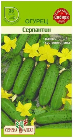 Баклажан Алексеевский/Сем Алт/цп 0,2 гр. - КОЛОРЛОН ВТД Новосибирск