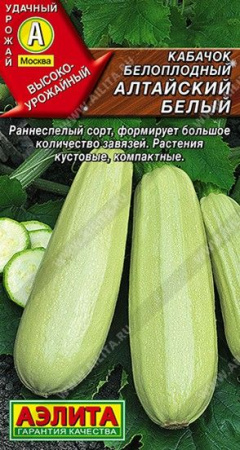 Кабачок Алтайский белый 1г (Аэлита) - КОЛОРЛОН ВТД Новосибирск