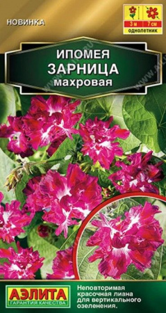 Ипомея Зарница 7шт, махровая (Аэлита) - КОЛОРЛОН ВТД Новосибирск