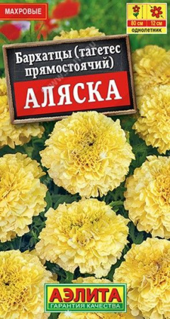 Бархатцы Аляска 0.1г (Аэлита) - КОЛОРЛОН ВТД Новосибирск