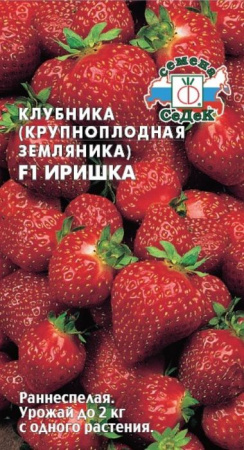 Земляника Иришка (СеДеК)цв - КОЛОРЛОН ВТД Новосибирск
